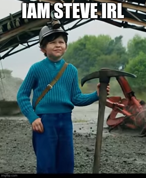STEVE | IAM STEVE IRL | image tagged in as a child i yearned for the mines | made w/ Imgflip meme maker