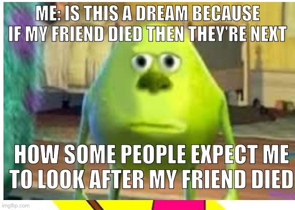 Some people be like | ME: IS THIS A DREAM BECAUSE IF MY FRIEND DIED THEN THEY’RE NEXT; HOW SOME PEOPLE EXPECT ME TO LOOK AFTER MY FRIEND DIED | image tagged in memes | made w/ Imgflip meme maker