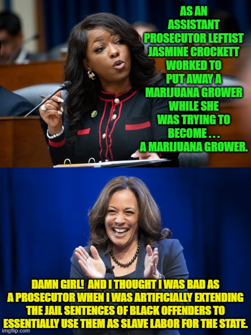 You ask who and what are leftists?  Well, now you know. | AS AN ASSISTANT PROSECUTOR LEFTIST JASMINE CROCKETT WORKED TO PUT AWAY A MARIJUANA GROWER WHILE SHE WAS TRYING TO BECOME . . . A MARIJUANA GROWER. DAMN GIRL!  AND I THOUGHT I WAS BAD AS A PROSECUTOR WHEN I WAS ARTIFICIALLY EXTENDING THE JAIL SENTENCES OF BLACK OFFENDERS TO ESSENTIALLY USE THEM AS SLAVE LABOR FOR THE STATE. | image tagged in yep | made w/ Imgflip meme maker