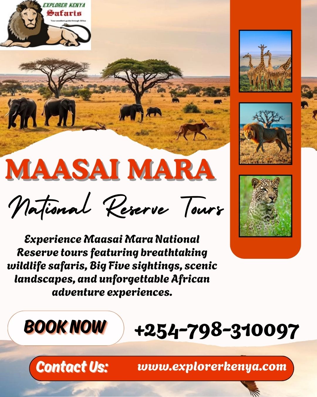 Maasai Mara National Reserve Tours Blank Meme Template