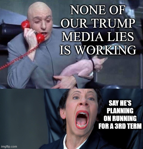 Dr Evil and Frau | NONE OF OUR TRUMP MEDIA LIES IS WORKING SAY HE'S PLANNING ON RUNNING FOR A 3RD TERM | image tagged in dr evil and frau | made w/ Imgflip meme maker