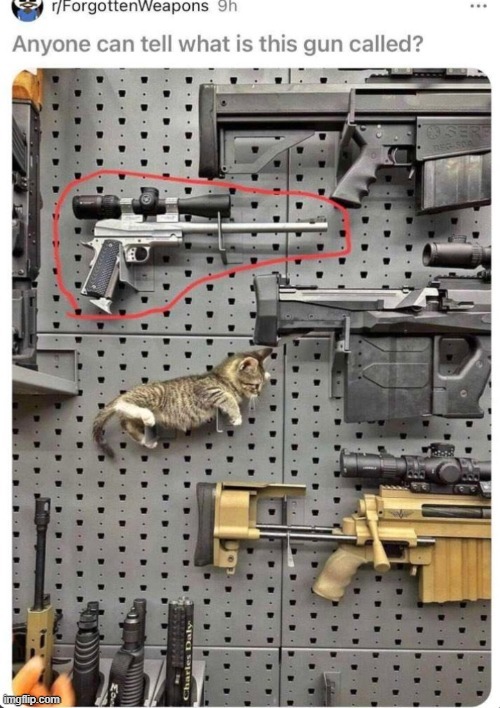 anyone pls tell me | image tagged in guns,wow look nothing,nothing to see here | made w/ Imgflip meme maker