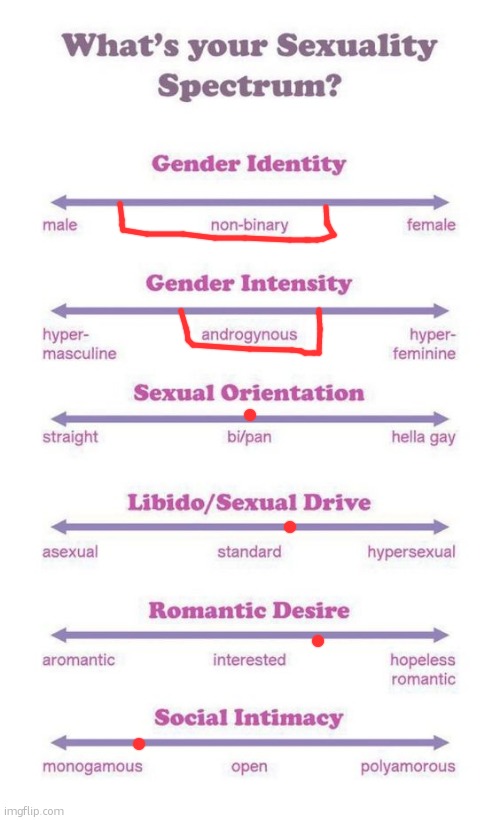 Is it just me or are gay people kinda gay | image tagged in what's your sexuality spectrum | made w/ Imgflip meme maker