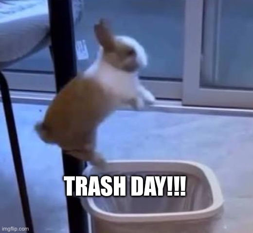bnuuy of the day 10/29 | TRASH DAY!!! | image tagged in bnuuy,bunny,trash can,funny,lol | made w/ Imgflip meme maker
