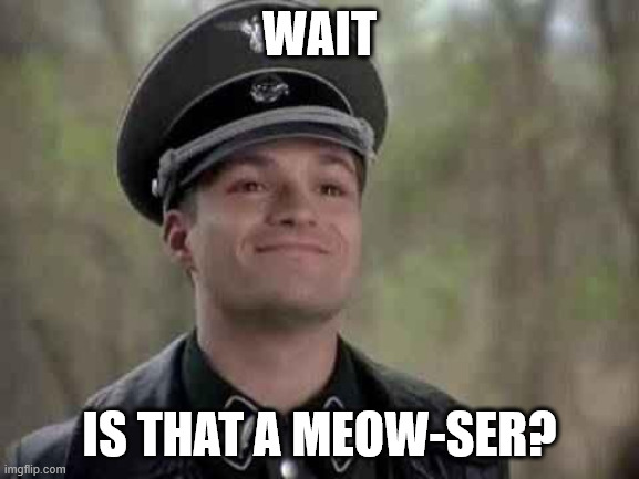 grammar nazi | WAIT IS THAT A MEOW-SER? | image tagged in grammar nazi | made w/ Imgflip meme maker