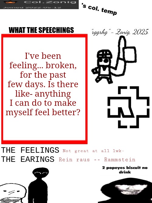 Col.Zonig's col. temp rgh | I've been feeling... broken, for the past few days. Is there like- anything I can do to make myself feel better? Not great at all lwk-; Rein raus -- Rammstein | image tagged in col zonig's col temp rgh | made w/ Imgflip meme maker