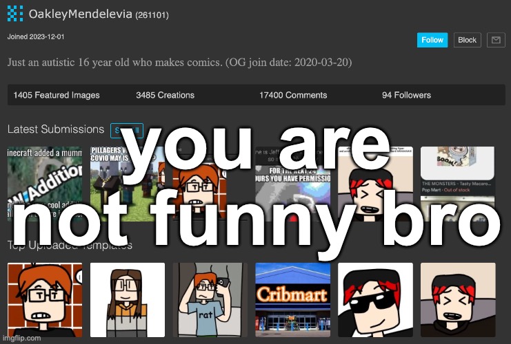 you are not funny bro | image tagged in msmg | made w/ Imgflip meme maker