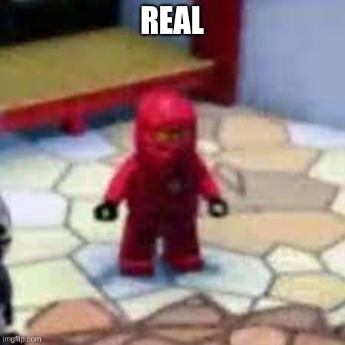 REAL | image tagged in kai | made w/ Imgflip meme maker