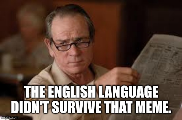 no country for old men tommy lee jones | THE ENGLISH LANGUAGE DIDN'T SURVIVE THAT MEME. | image tagged in no country for old men tommy lee jones | made w/ Imgflip meme maker