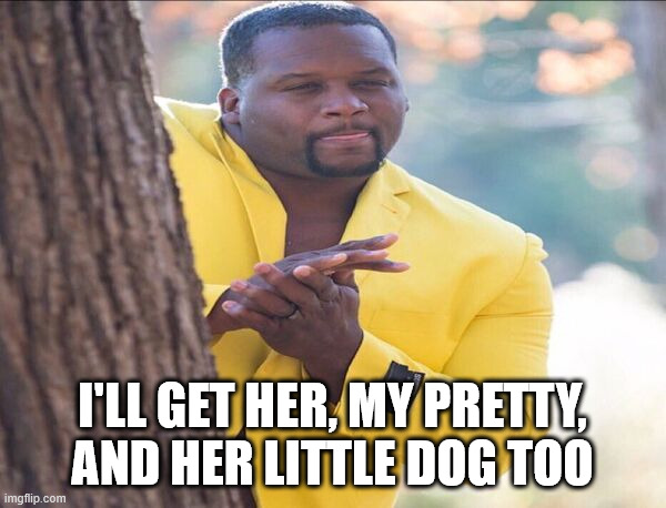 Yellow jacket | I'LL GET HER, MY PRETTY,
AND HER LITTLE DOG TOO | image tagged in yellow jacket | made w/ Imgflip meme maker