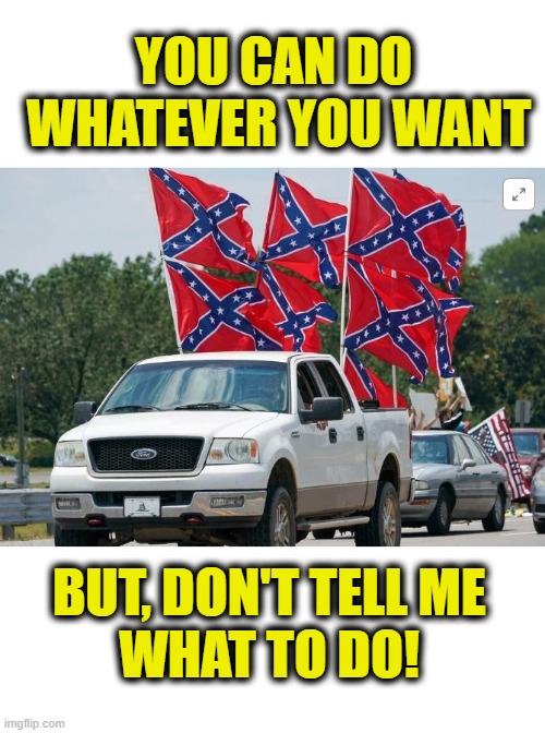 Leftist hate Rebel Pride | YOU CAN DO
 WHATEVER YOU WANT; BUT, DON'T TELL ME
WHAT TO DO! | image tagged in southern pride | made w/ Imgflip meme maker
