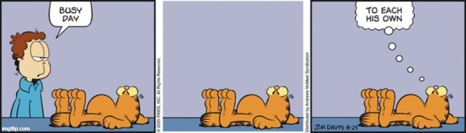Garfield | image tagged in comics | made w/ Imgflip meme maker