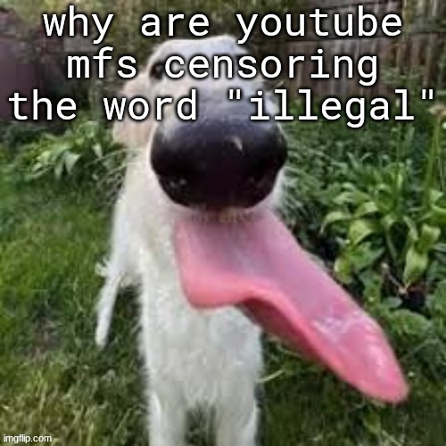 dog | why are youtube mfs censoring the word "illegal" | image tagged in dog | made w/ Imgflip meme maker