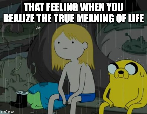 Life Sucks | THAT FEELING WHEN YOU REALIZE THE TRUE MEANING OF LIFE | image tagged in memes,life sucks | made w/ Imgflip meme maker
