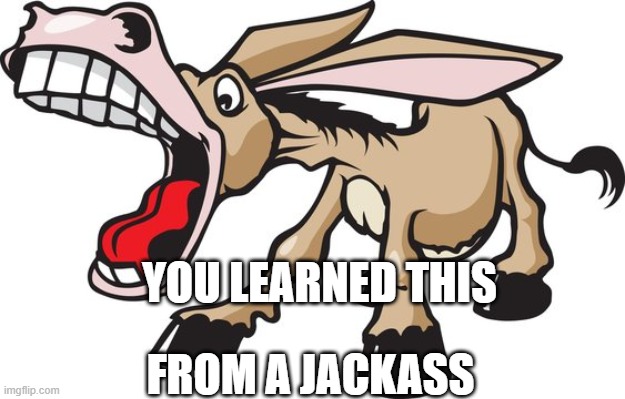 jackass | YOU LEARNED THIS; FROM A JACKASS | image tagged in learning,jackass | made w/ Imgflip meme maker