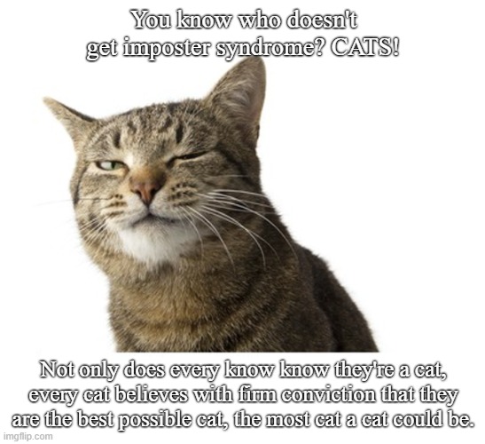 We're all the best cat | You know who doesn't get imposter syndrome? CATS! Not only does every know know they're a cat, every cat believes with firm conviction that they are the best possible cat, the most cat a cat could be. | image tagged in dogs an cats | made w/ Imgflip meme maker