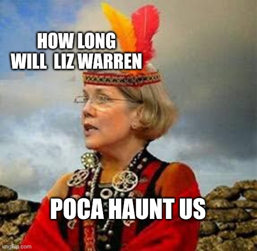 Elizabeth warren | HOW LONG WILL  LIZ WARREN; POCA HAUNT US | image tagged in pocahontas warren lizzy | made w/ Imgflip meme maker