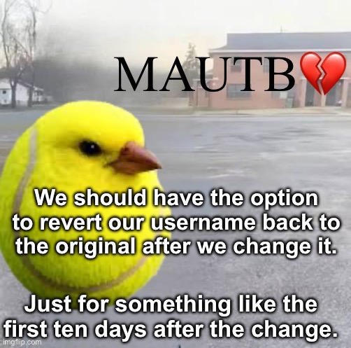 Mods Asleep, Upvote Tennis Bird | We should have the option to revert our username back to the original after we change it. Just for something like the first ten days after the change. | image tagged in mods asleep upvote tennis bird | made w/ Imgflip meme maker