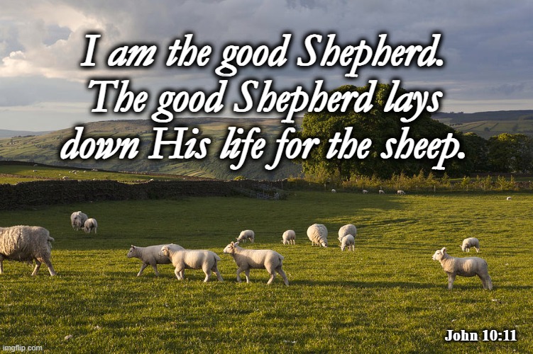 John 10:11 | I am the good Shepherd. The good Shepherd lays down His life for the sheep. John 10:11 | image tagged in jesus christ | made w/ Imgflip meme maker