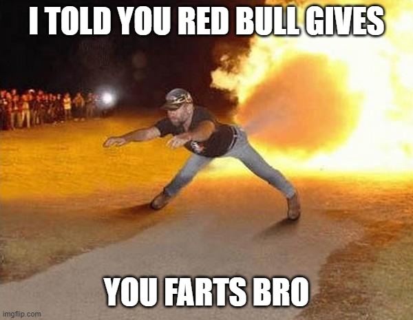 fire fart | I TOLD YOU RED BULL GIVES; YOU FARTS BRO | image tagged in fire fart,funny memes | made w/ Imgflip meme maker