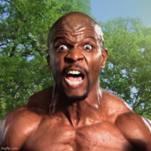Terry Crews | image tagged in terry crews | made w/ Imgflip meme maker