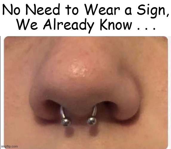 My opinion? Less is more with a nose ring. | No Need to Wear a Sign,
We Already Know . . . | image tagged in kids these days,rebellion,choices,regrets,warning label,sign | made w/ Imgflip meme maker