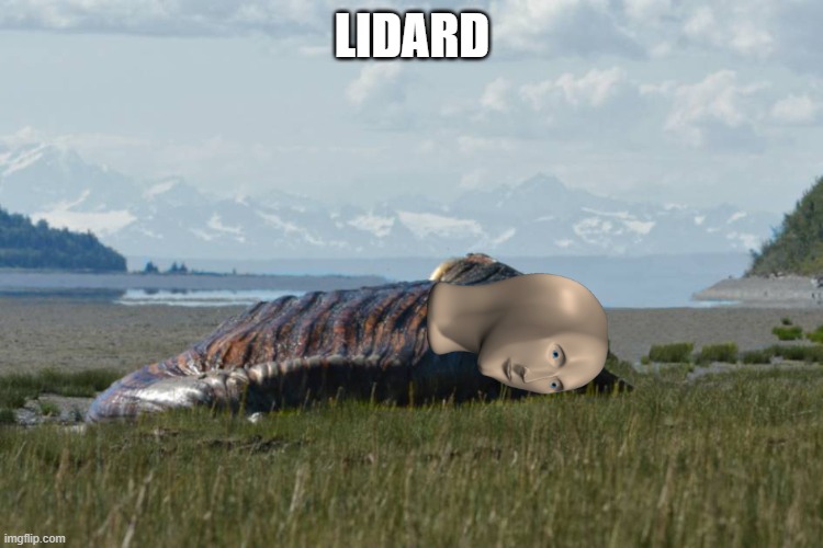 Scp-Stonks82 | LIDARD | image tagged in scp | made w/ Imgflip meme maker