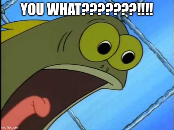 You what?! | YOU WHAT???????!!!! | image tagged in you what | made w/ Imgflip meme maker