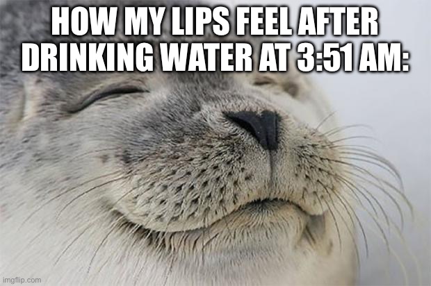 Do y'all ever just wake up in the middle of the night feeling hella dehydrated and drink water only to find it VERY refreshing? | HOW MY LIPS FEEL AFTER DRINKING WATER AT 3:51 AM: | image tagged in memes,satisfied seal,water,sleep,random bullshit go | made w/ Imgflip meme maker