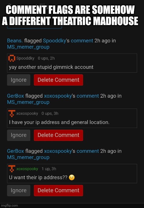 COMMENT FLAGS ARE SOMEHOW A DIFFERENT THEATRIC MADHOUSE | made w/ Imgflip meme maker
