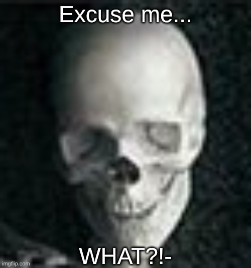 Excuse me...
 
 
 
 
  
 
 
 
 
WHAT?!- | image tagged in skull | made w/ Imgflip meme maker