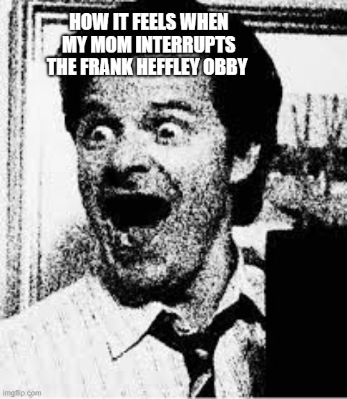 *destroys the universe* | HOW IT FEELS WHEN MY MOM INTERRUPTS THE FRANK HEFFLEY OBBY | image tagged in frank heffley schizophrenia meme,frank heffley,diary of a wimpy kid,bruh | made w/ Imgflip meme maker