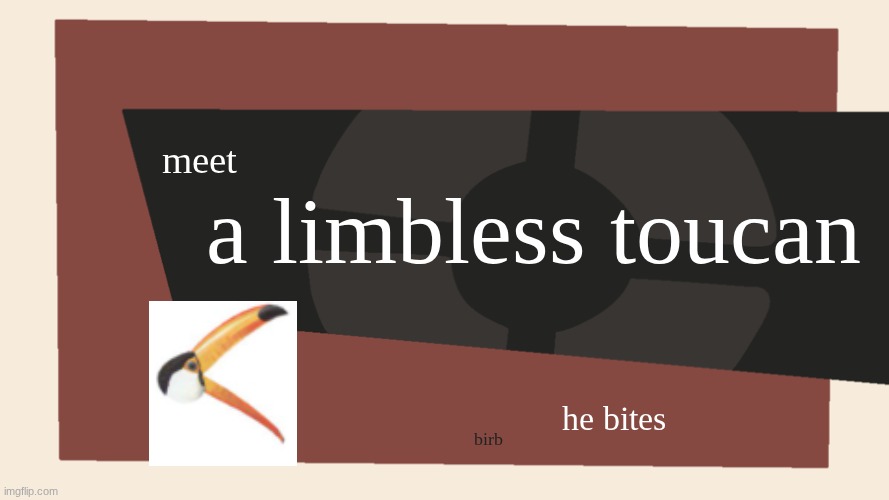 meet a limbless toucan | a limbless toucan; meet; he bites; birb | image tagged in meet the blank,birds | made w/ Imgflip meme maker