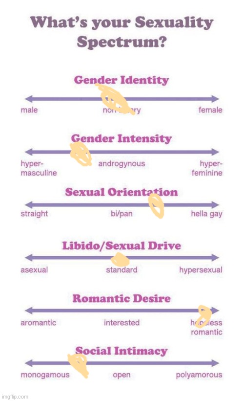 What's your sexuality spectrum? | image tagged in what's your sexuality spectrum | made w/ Imgflip meme maker