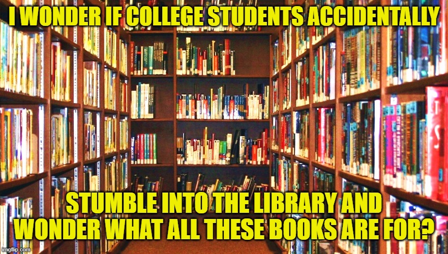 Library | I WONDER IF COLLEGE STUDENTS ACCIDENTALLY STUMBLE INTO THE LIBRARY AND WONDER WHAT ALL THESE BOOKS ARE FOR? | image tagged in library | made w/ Imgflip meme maker