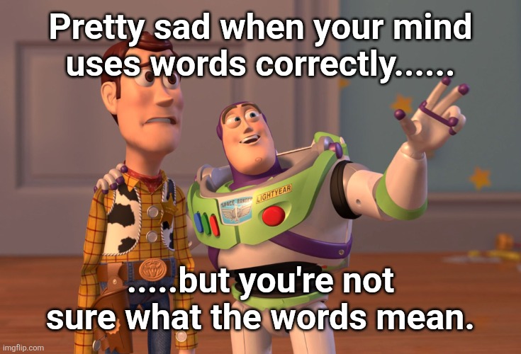 Hidden meaning | Pretty sad when your mind uses words correctly...... .....but you're not sure what the words mean. | image tagged in memes,x x everywhere | made w/ Imgflip meme maker