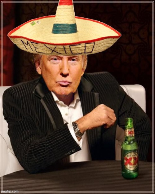 Trump Interesting Sombrero | image tagged in trump interesting sombrero | made w/ Imgflip meme maker