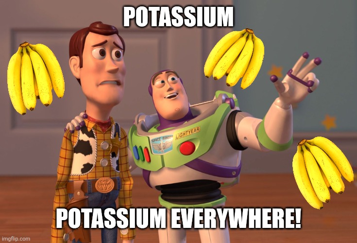X, X Everywhere | POTASSIUM; POTASSIUM EVERYWHERE! | image tagged in memes,banana,buzz | made w/ Imgflip meme maker