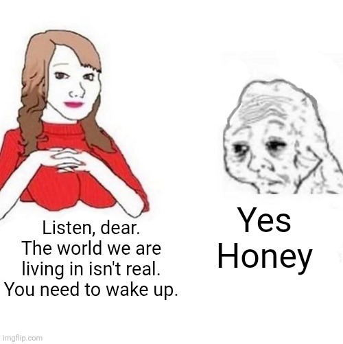 Yes Honey | Yes Honey; Listen, dear. The world we are living in isn't real. You need to wake up. | image tagged in memes,silly,honey | made w/ Imgflip meme maker