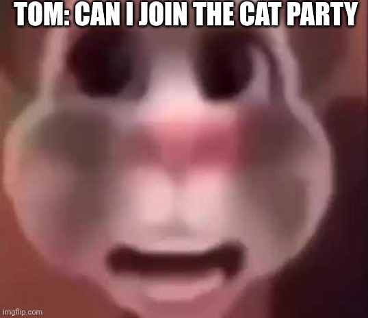 Old talking tom ah | TOM: CAN I JOIN THE CAT PARTY | image tagged in old talking tom ah | made w/ Imgflip meme maker