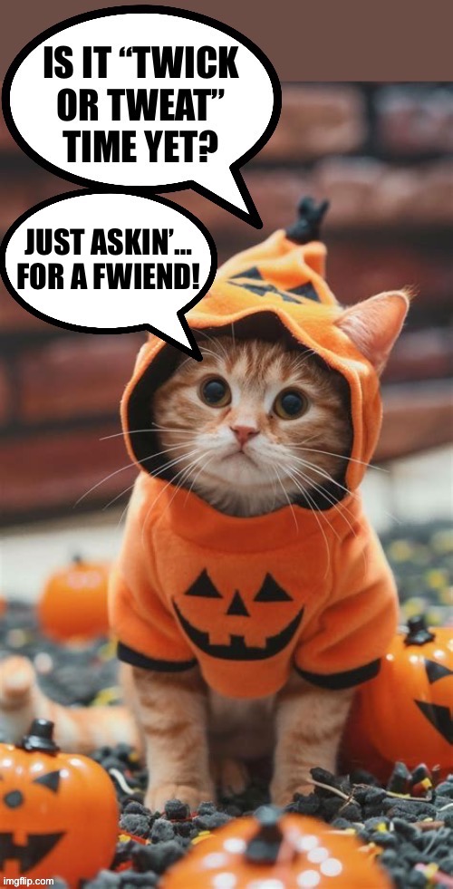Two more days… | JUST ASKIN’…
FOR A FWIEND! | image tagged in cats,costume,halloween,trick or treat,asking for a friend,pumpkin | made w/ Imgflip meme maker