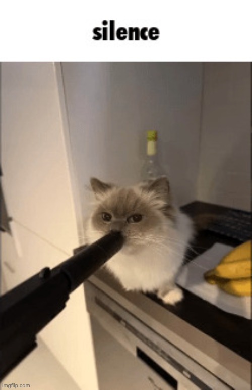 @all | image tagged in silence | made w/ Imgflip meme maker