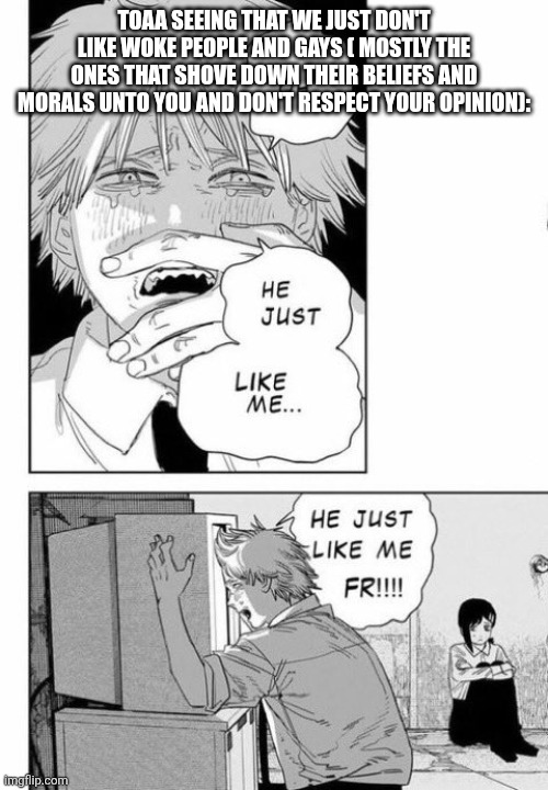 He just like me fr fr | TOAA SEEING THAT WE JUST DON'T LIKE WOKE PEOPLE AND GAYS ( MOSTLY THE ONES THAT SHOVE DOWN THEIR BELIEFS AND MORALS UNTO YOU AND DON'T RESPE | image tagged in he just like me fr fr | made w/ Imgflip meme maker