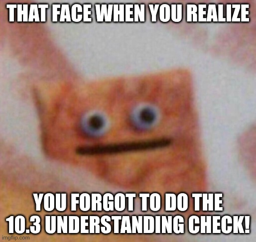 Cinnamon Toast Crunch | THAT FACE WHEN YOU REALIZE; YOU FORGOT TO DO THE 10.3 UNDERSTANDING CHECK! | image tagged in cinnamon toast crunch | made w/ Imgflip meme maker