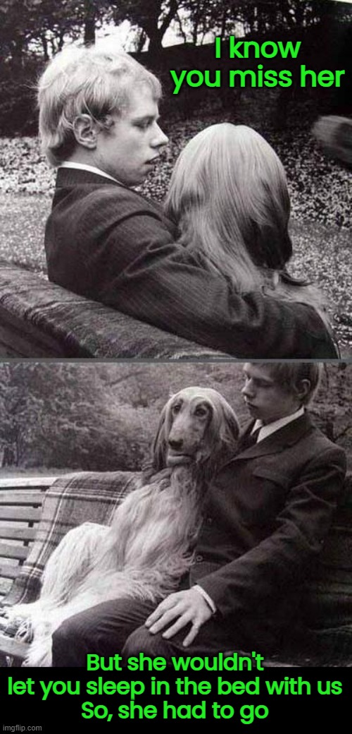 I know you miss her But she wouldn't let you sleep in the bed with us
So, she had to go | made w/ Imgflip meme maker