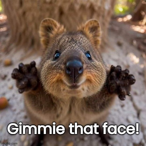 Gimmie that face! | made w/ Imgflip meme maker