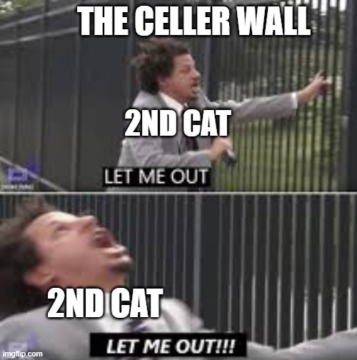 The black cat iykyk | THE CELLER WALL; 2ND CAT; 2ND CAT | image tagged in let me out | made w/ Imgflip meme maker