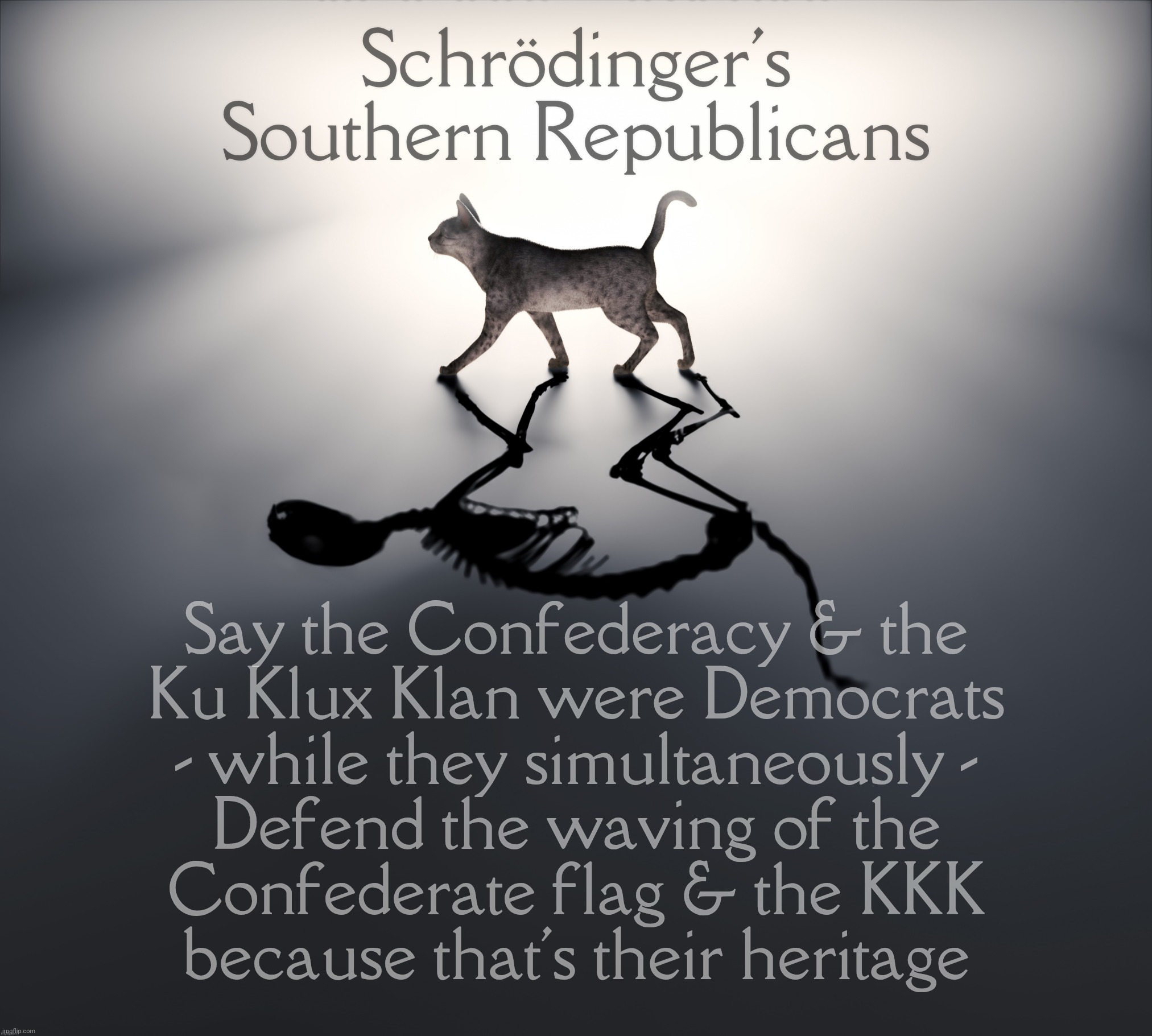 Schrodinger's Cat | Schrödinger's Southern Republicans Say the Confederacy & the
Ku Klux Klan were Democrats
- while they simultaneously -
Defend the waving of  | image tagged in schrodinger's cat | made w/ Imgflip meme maker