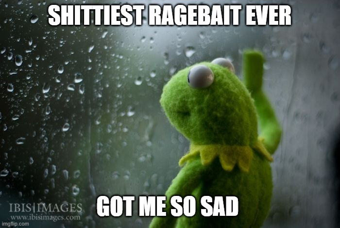 kermit window | SHITTIEST RAGEBAIT EVER GOT ME SO SAD | image tagged in kermit window | made w/ Imgflip meme maker