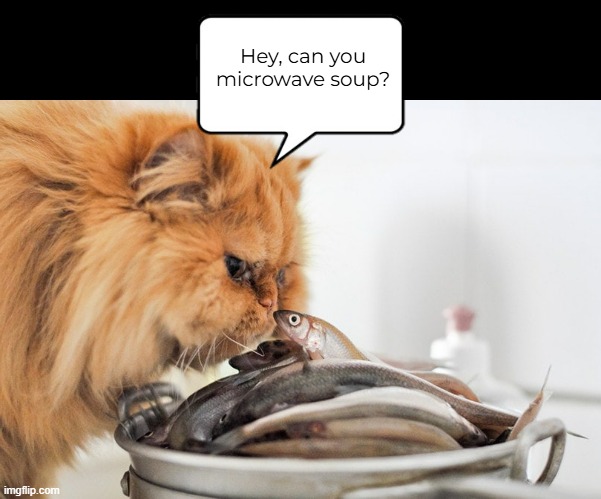 Hey, can you microwave soup? | made w/ Imgflip meme maker